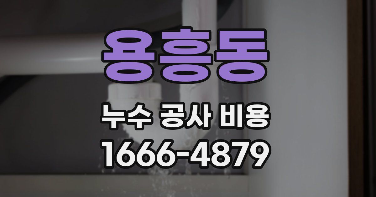 용흥동 누수 공사 비용
