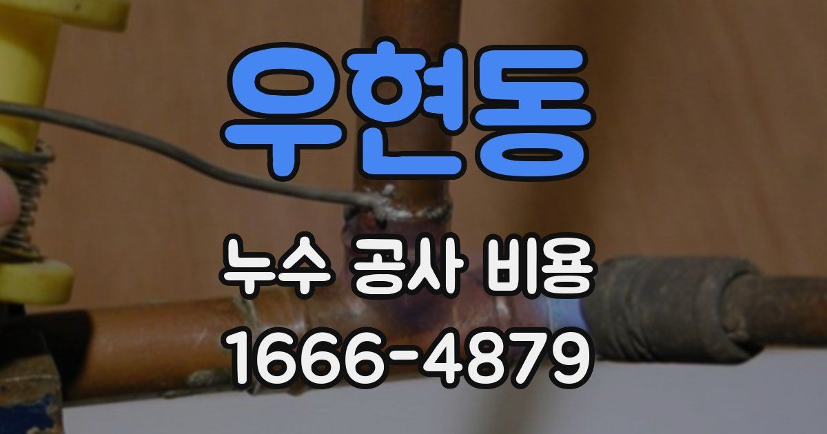 우현동 누수 공사 비용