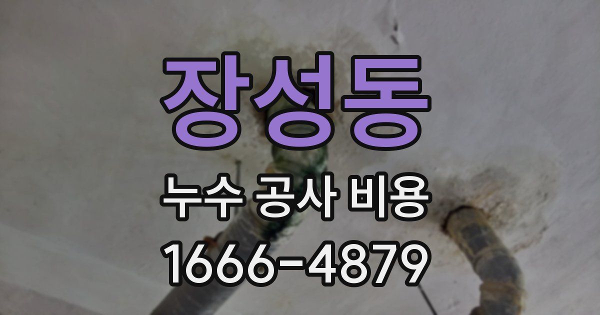 장성동 누수 공사 비용