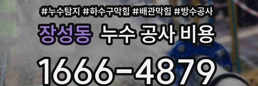 장성동 누수 공사 비용