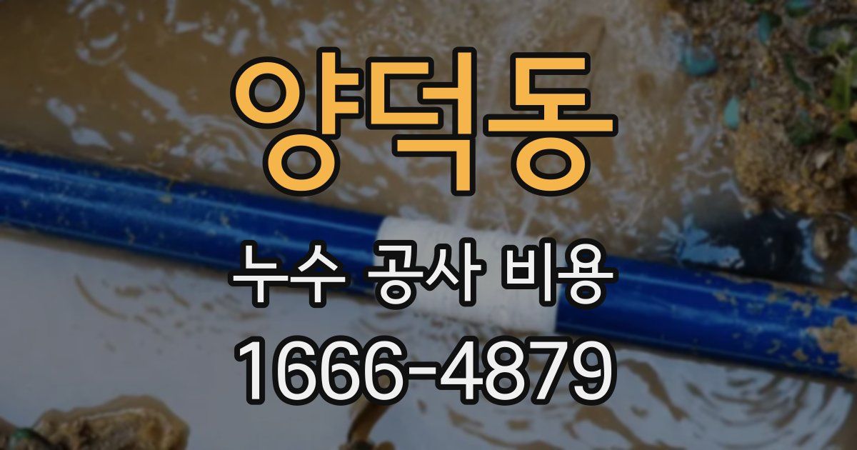 양덕동 누수 공사 비용