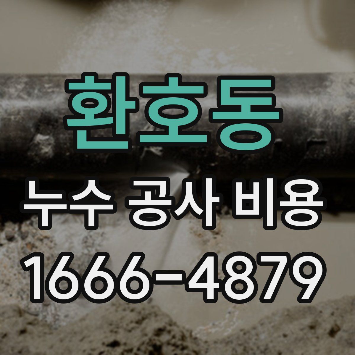 환호동 누수 공사 비용