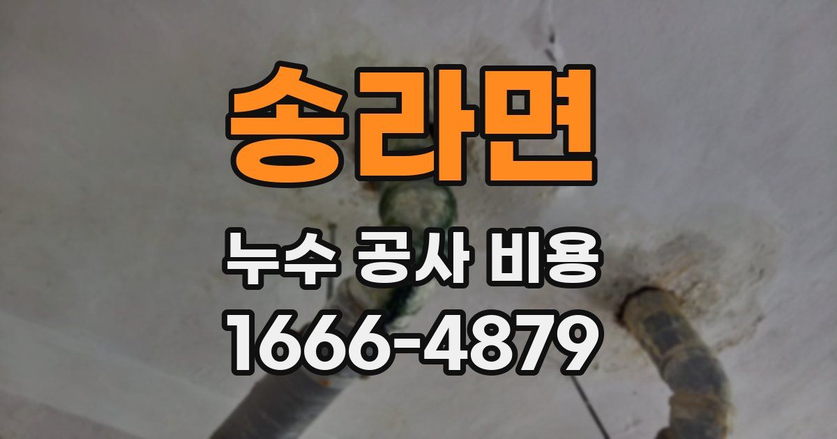 송라면 누수 공사 비용