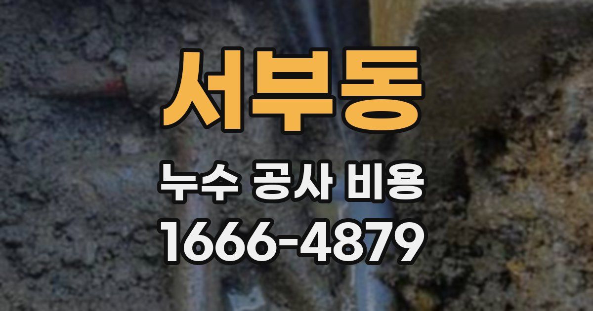 서부동 누수 공사 비용