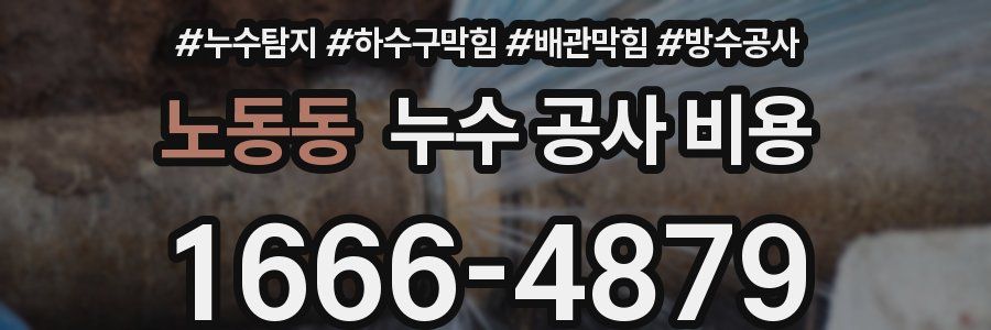 노동동 누수 공사 비용
