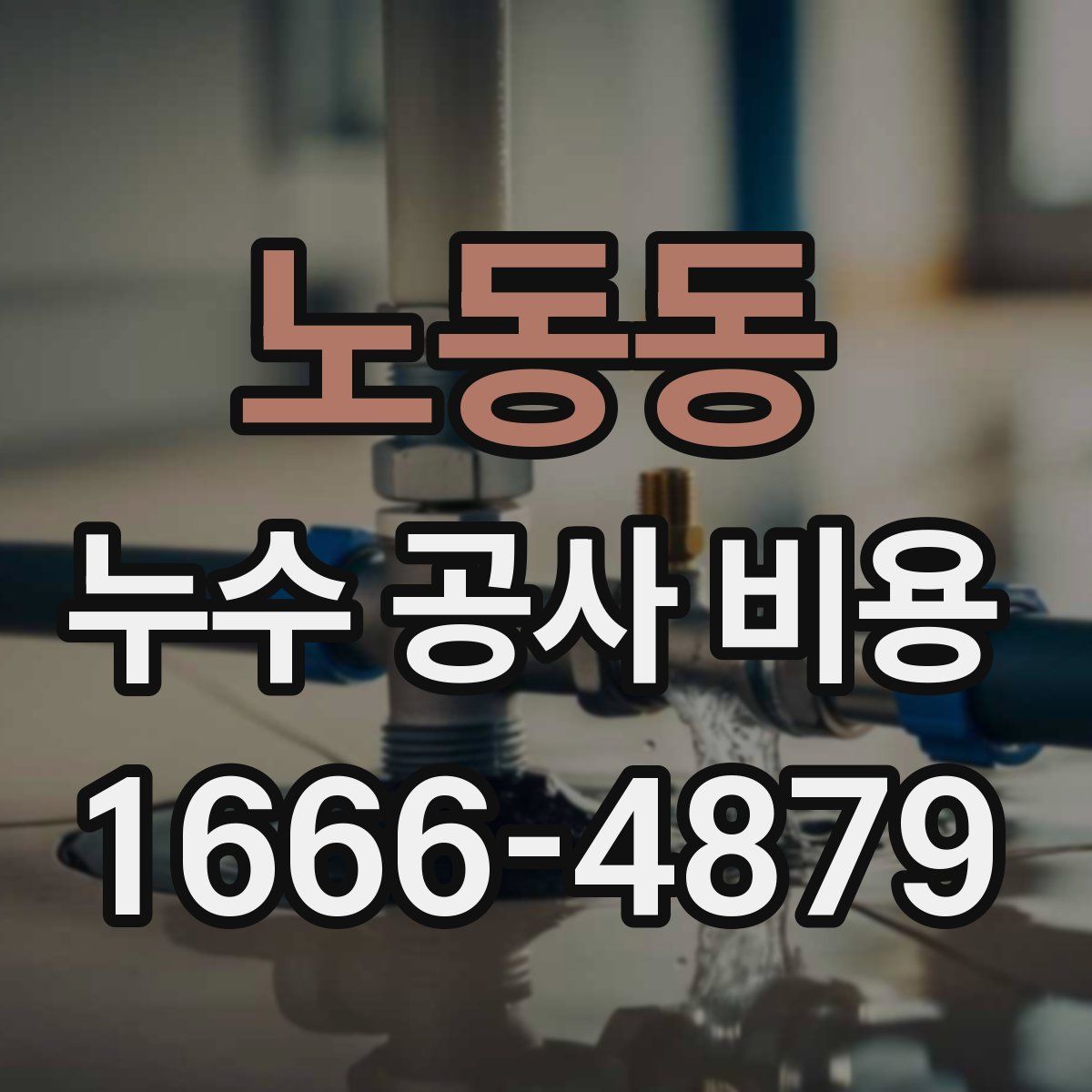 노동동 누수 공사 비용