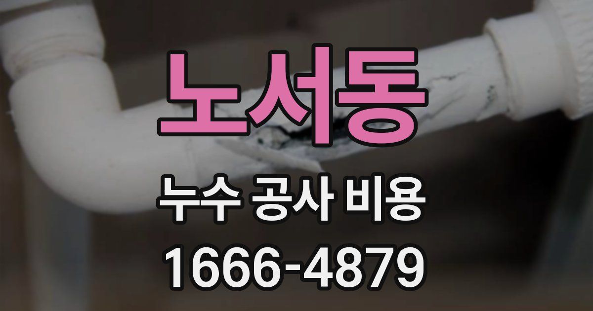 노서동 누수 공사 비용