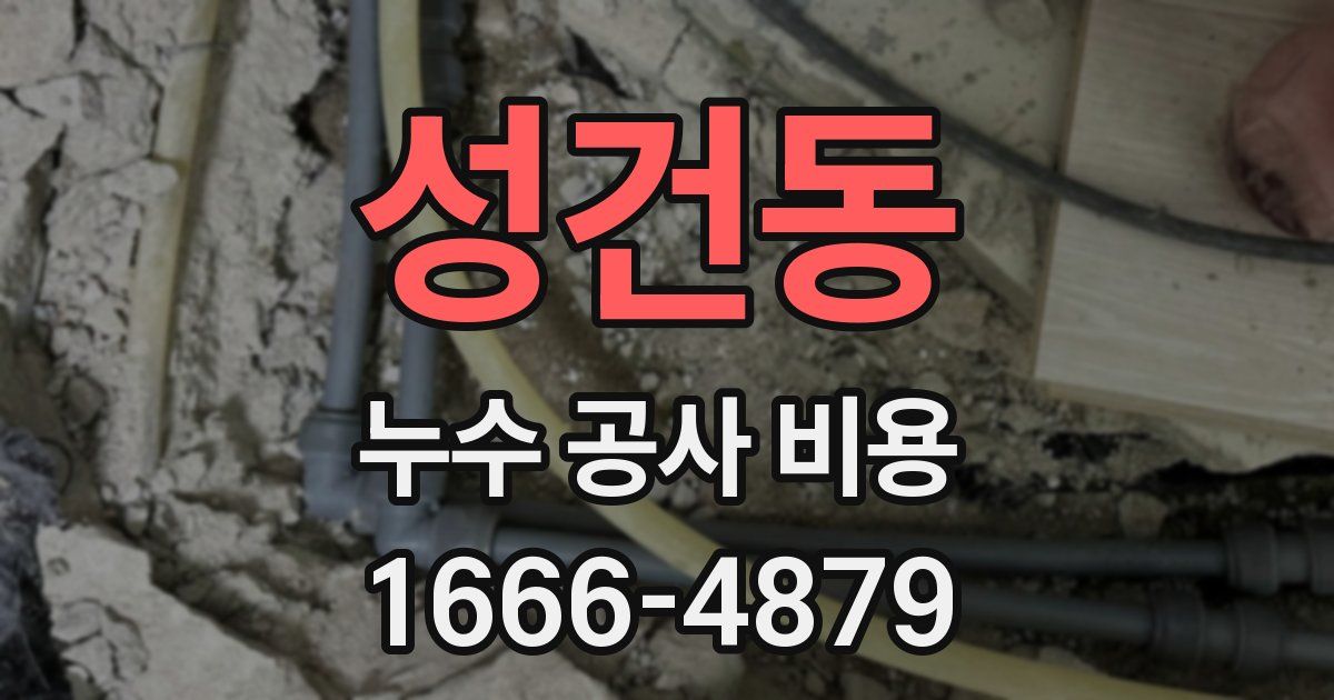 성건동 누수 공사 비용