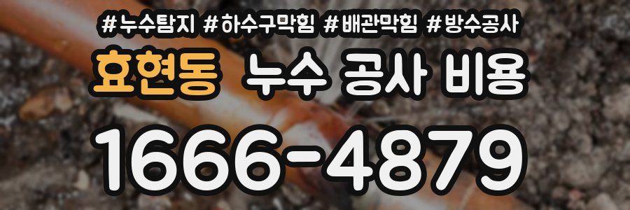 효현동 누수 공사 비용