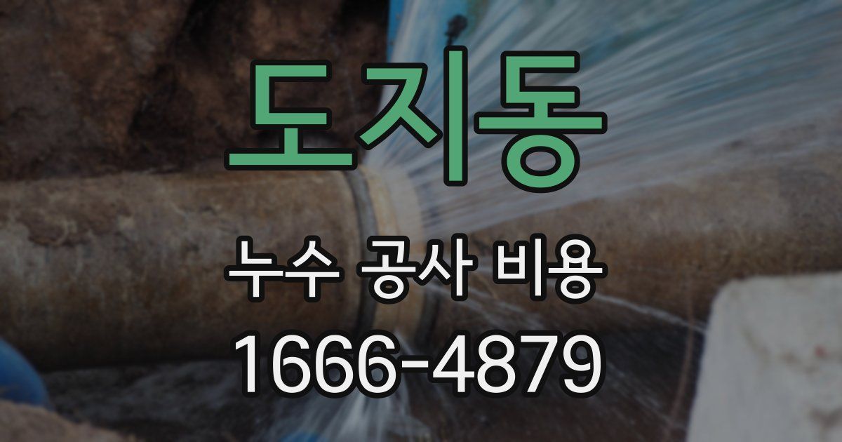 도지동 누수 공사 비용