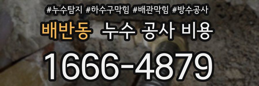 배반동 누수 공사 비용