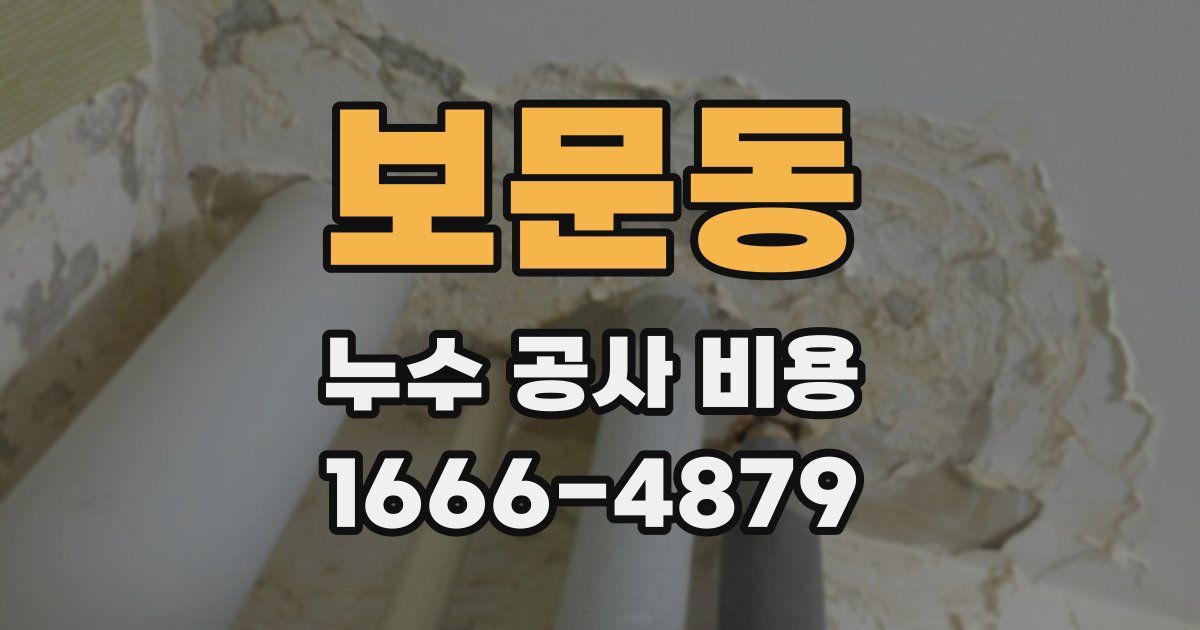 보문동 누수 공사 비용
