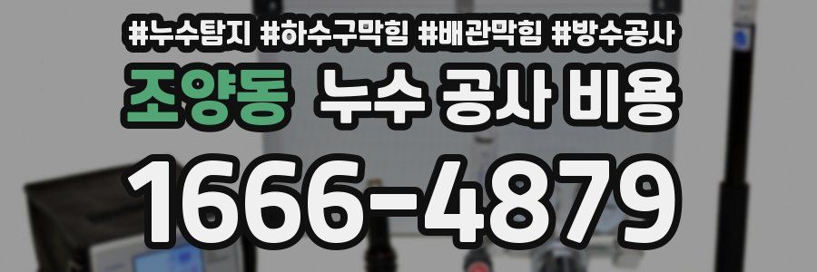 조양동 누수 공사 비용