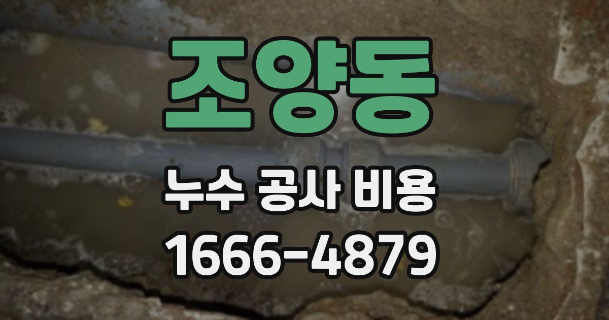 조양동 누수 공사 비용
