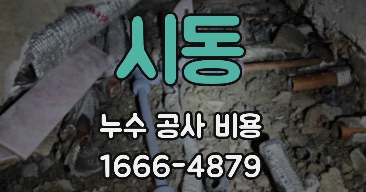 시동 누수 공사 비용