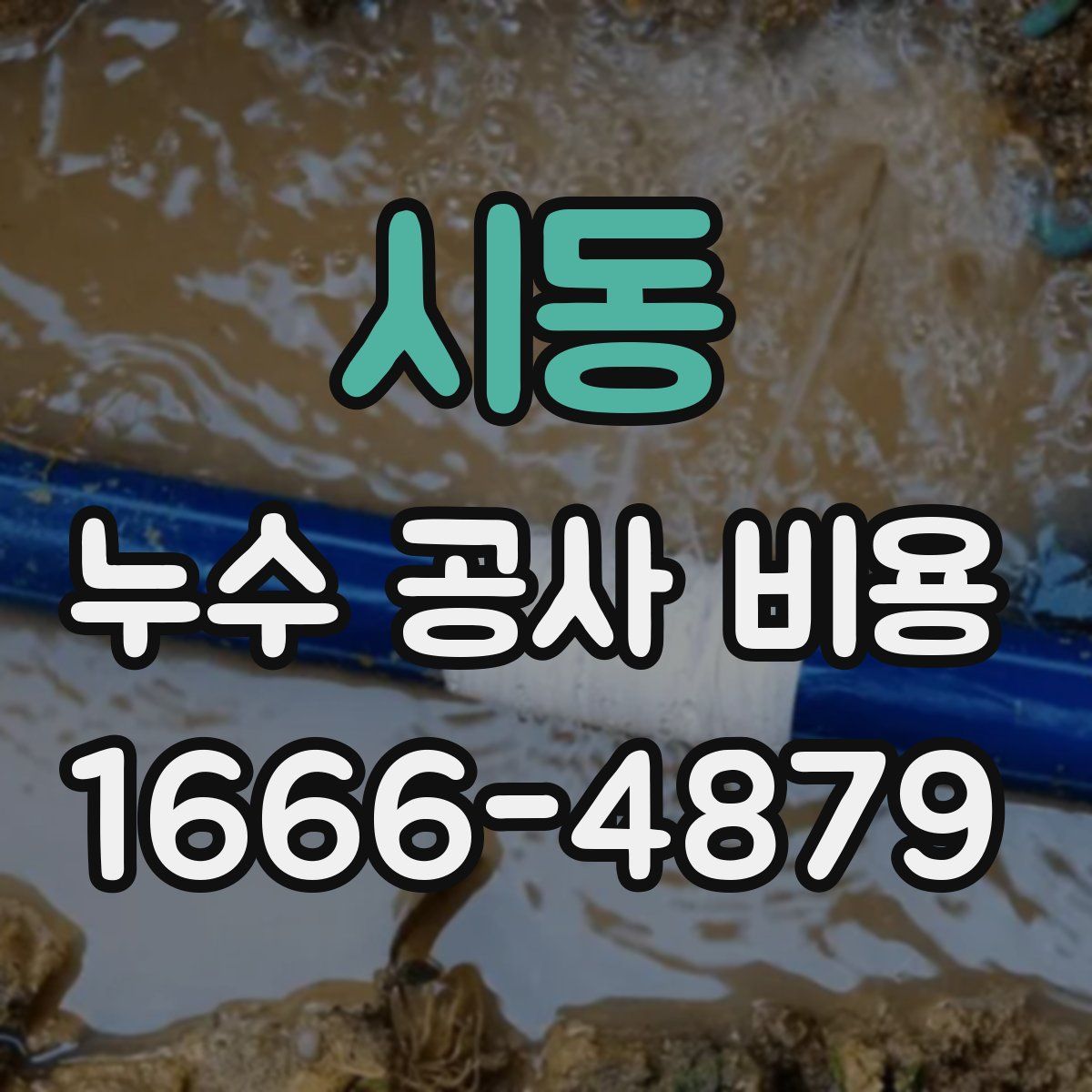 시동 누수 공사 비용