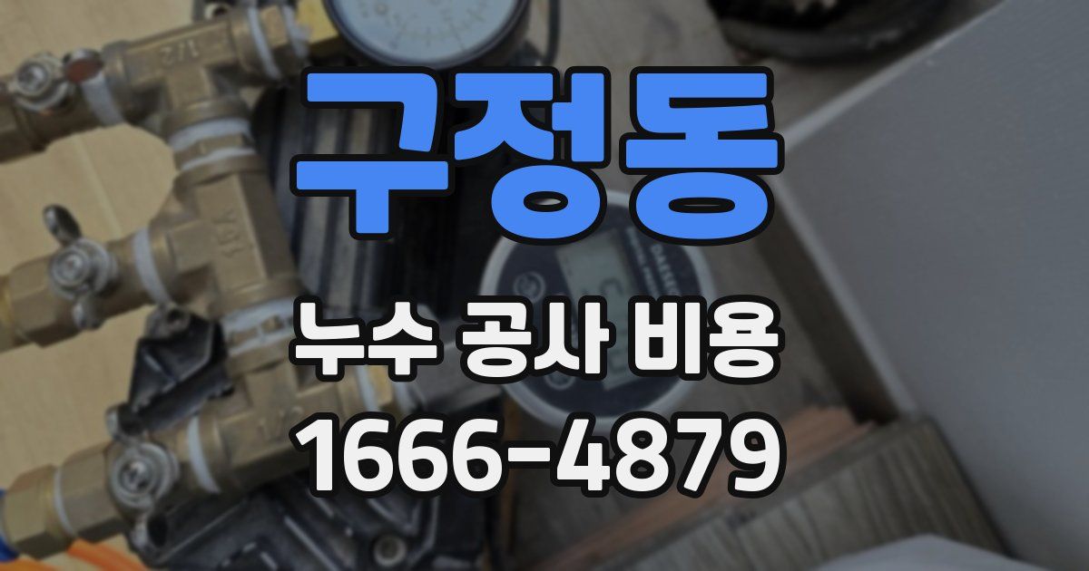 구정동 누수 공사 비용