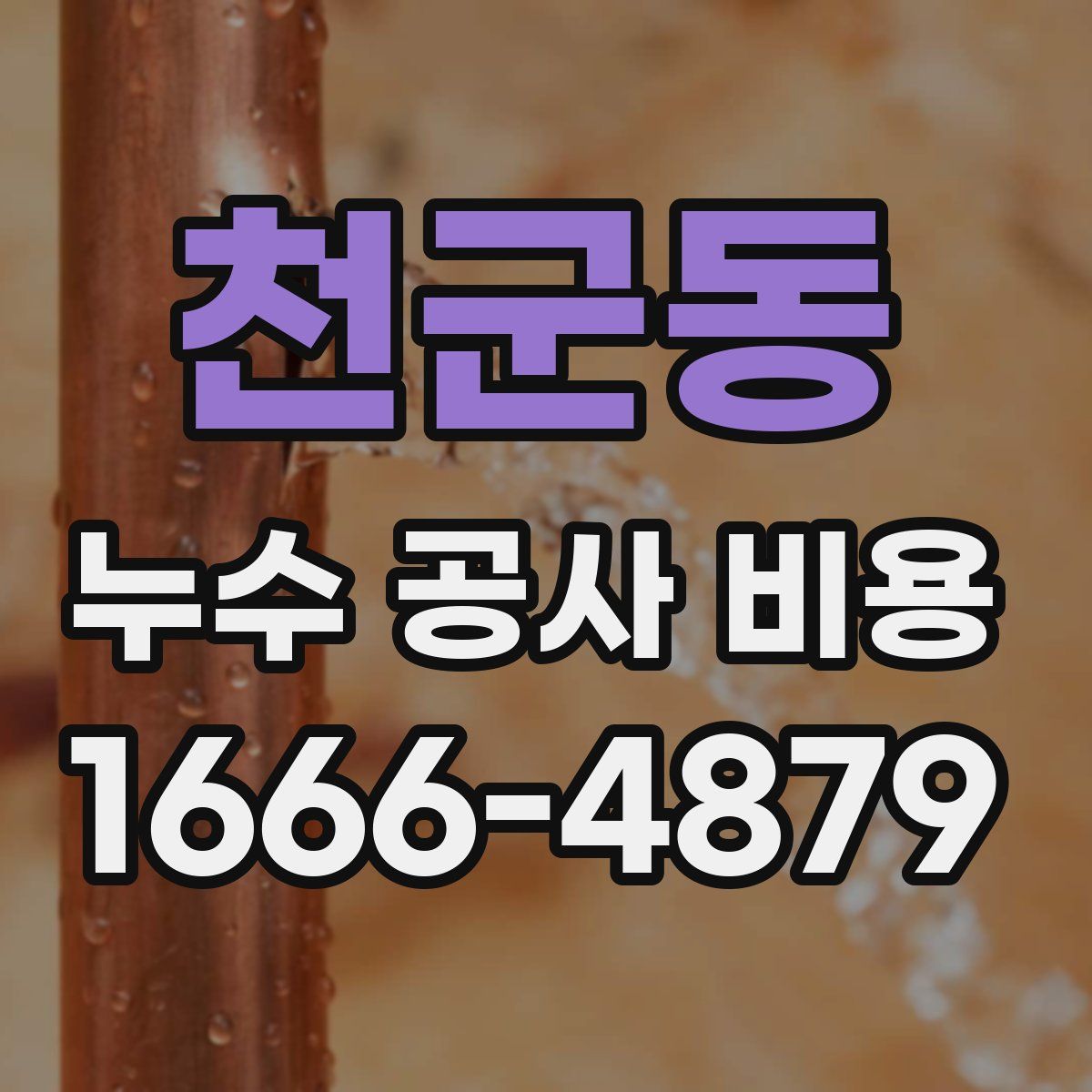 천군동 누수 공사 비용