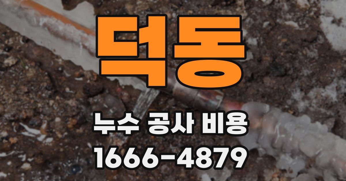 덕동 누수 공사 비용