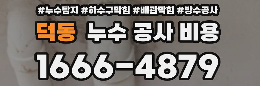 덕동 누수 공사 비용