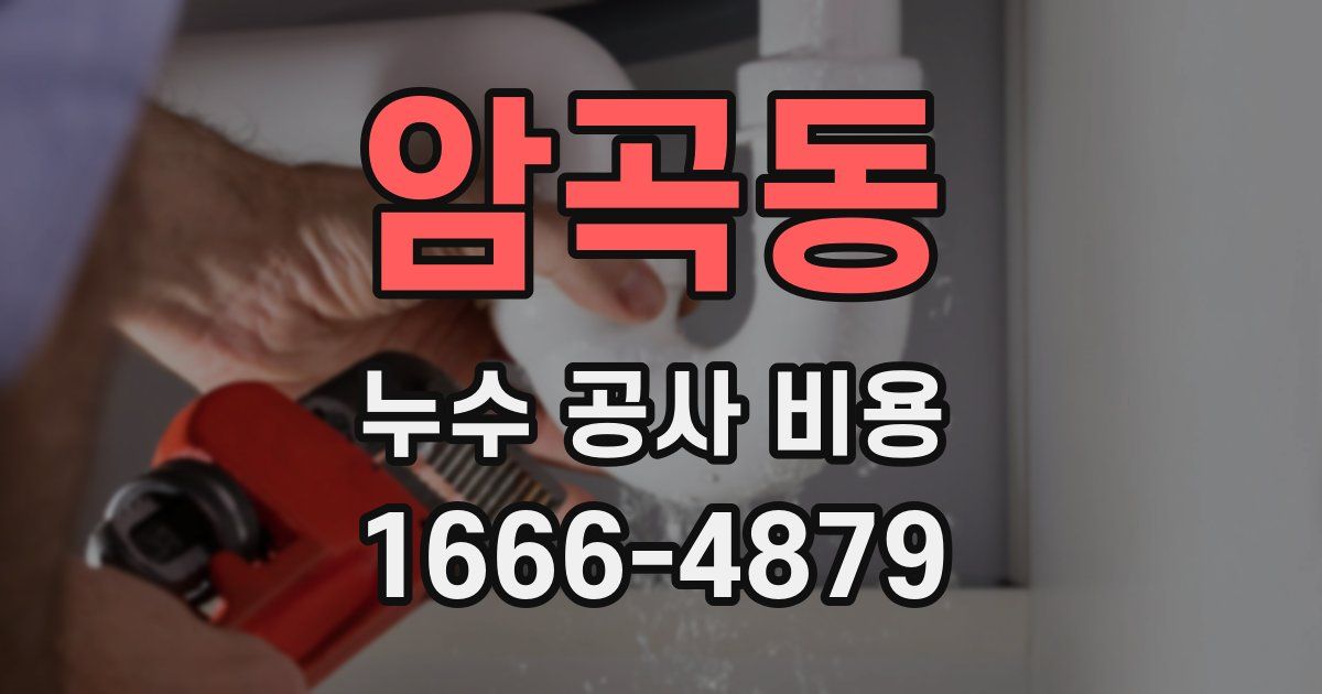 암곡동 누수 공사 비용