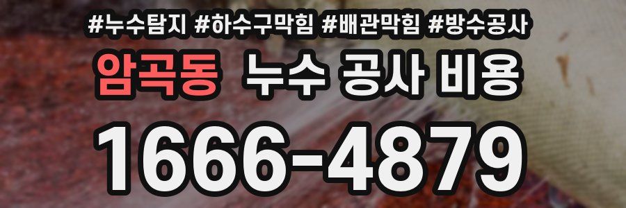 암곡동 누수 공사 비용