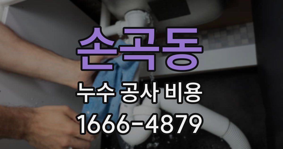 손곡동 누수 공사 비용