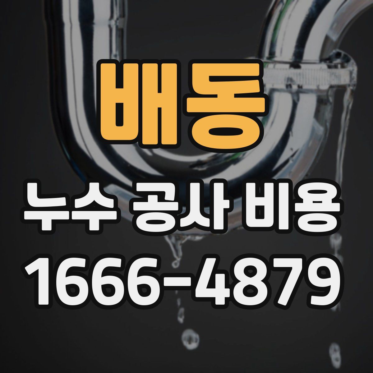 배동 누수 공사 비용