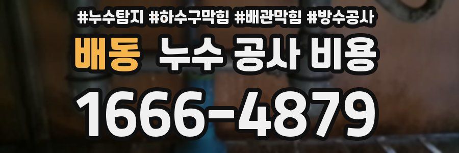 배동 누수 공사 비용