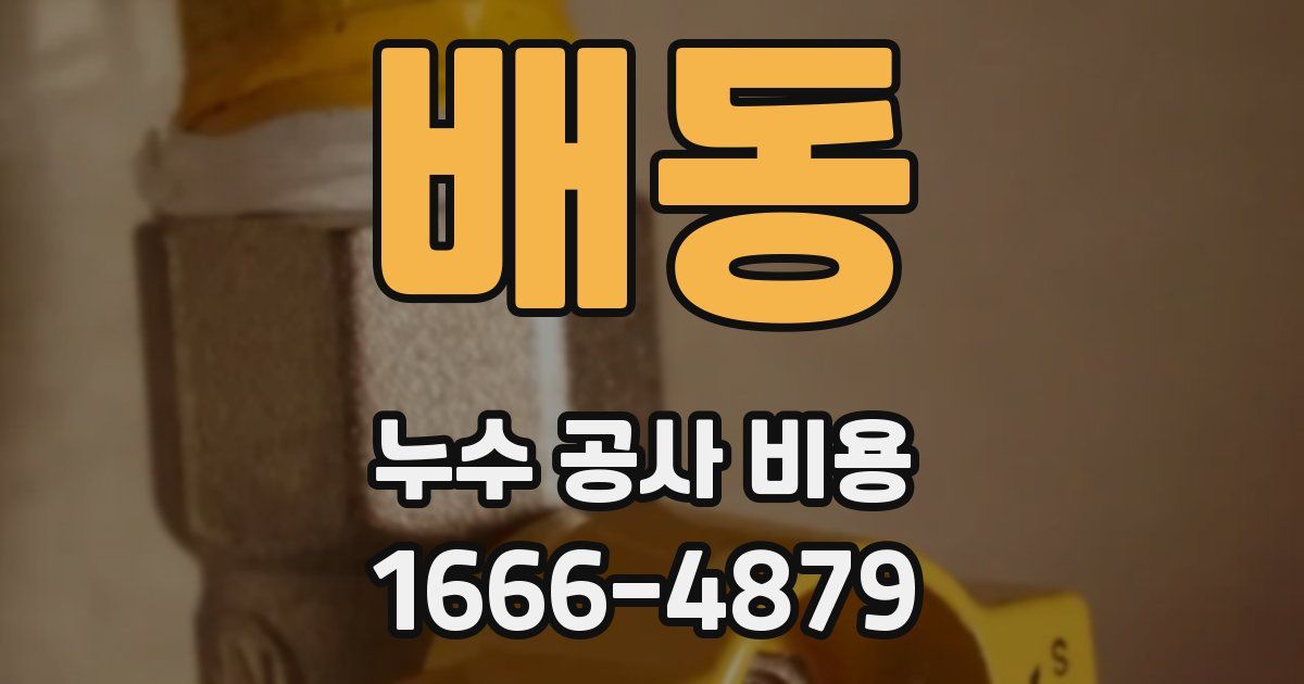 배동 누수 공사 비용