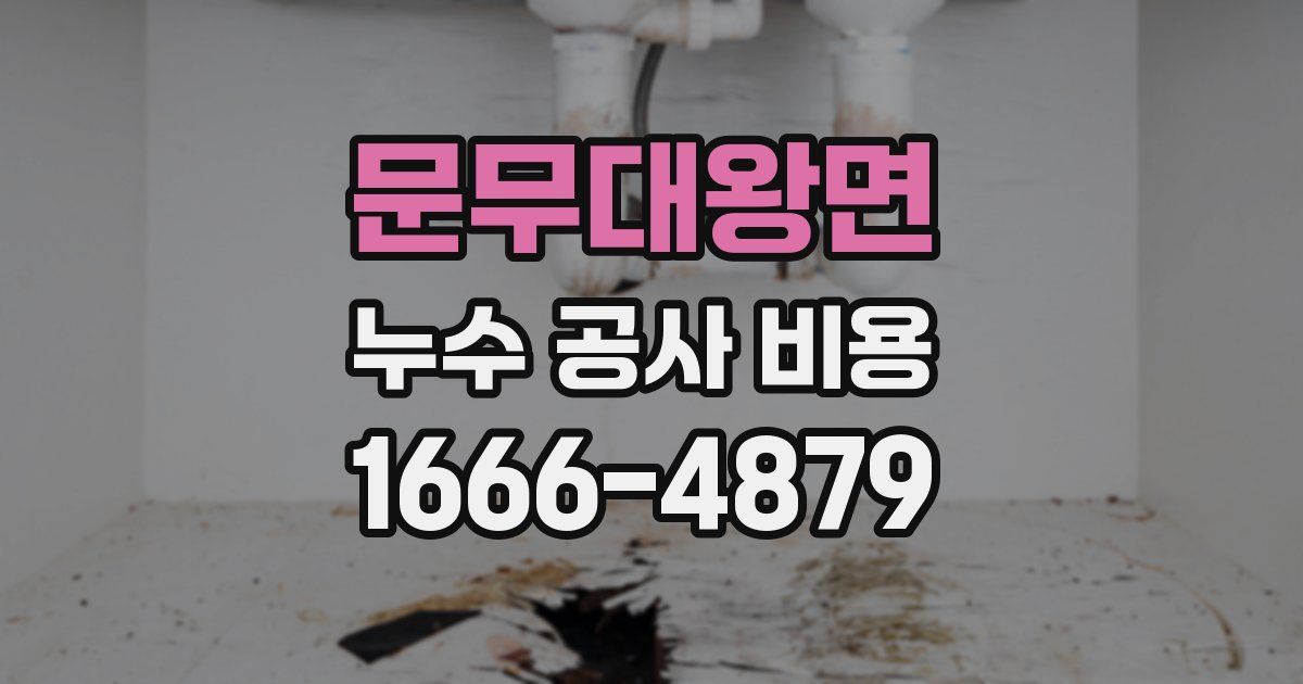 문무대왕면 누수 공사 비용