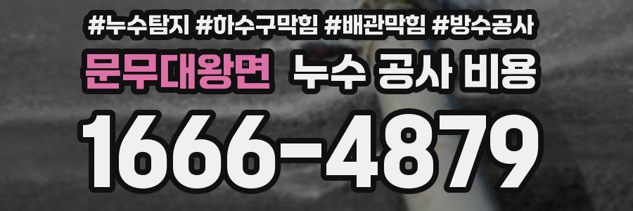 문무대왕면 누수 공사 비용
