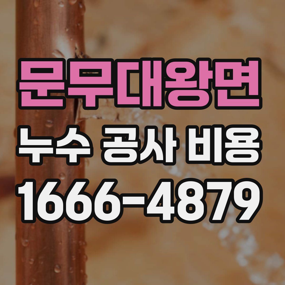 문무대왕면 누수 공사 비용