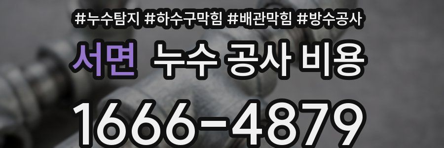 서면 누수 공사 비용
