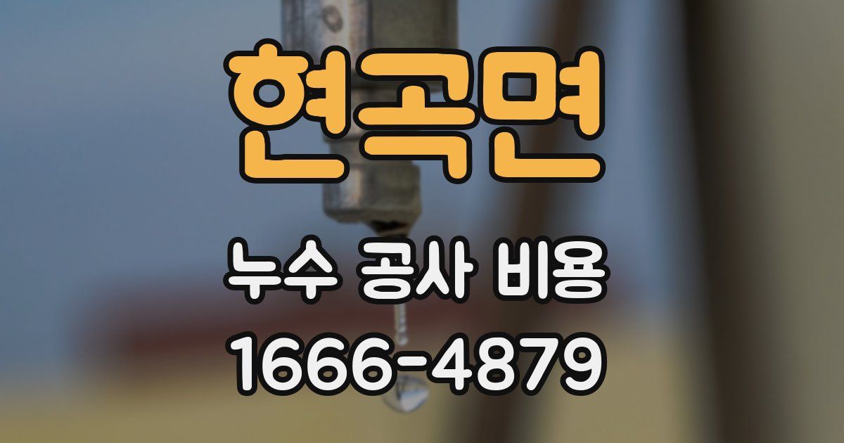현곡면 누수 공사 비용