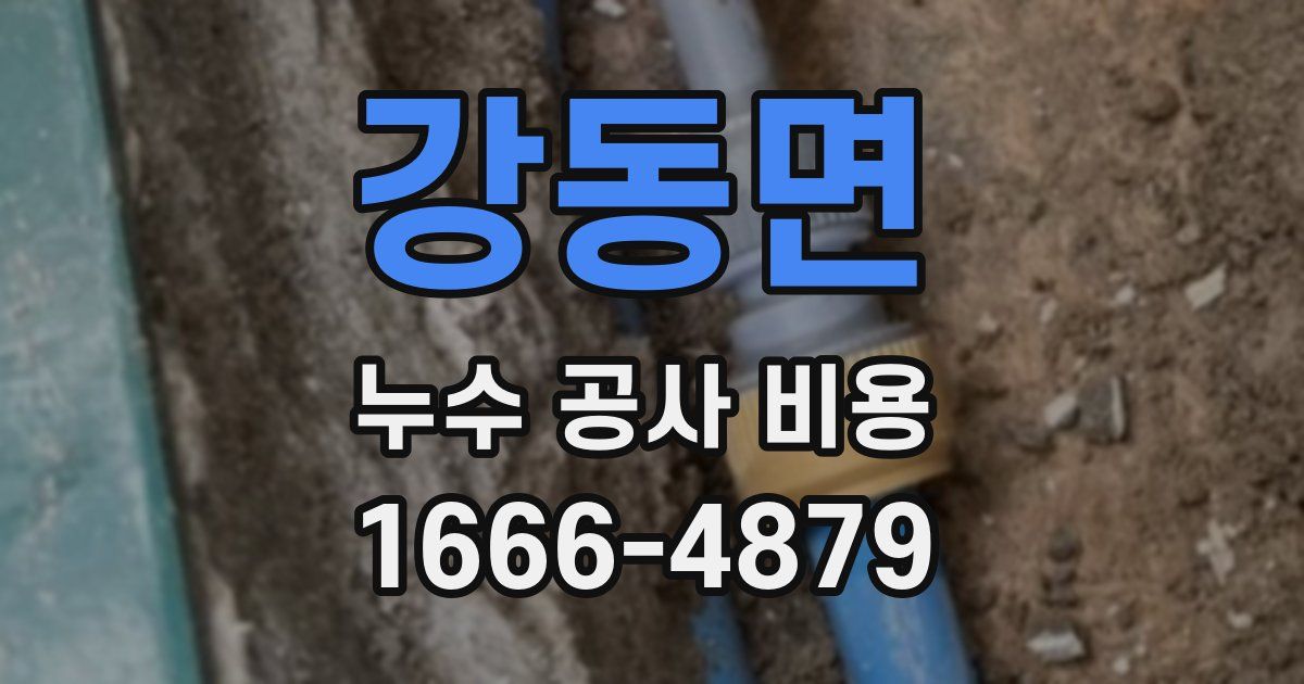 강동면 누수 공사 비용
