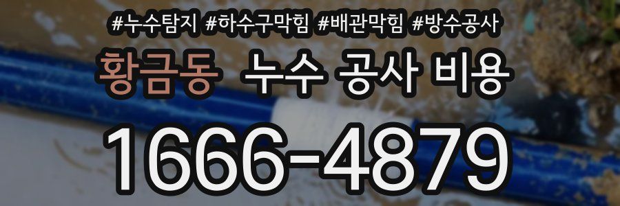 황금동 누수 공사 비용
