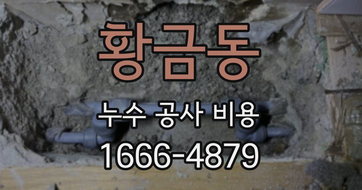 황금동 누수 공사 비용