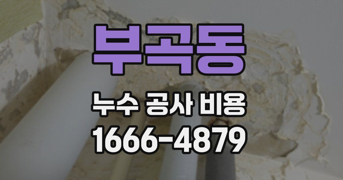 부곡동 누수 공사 비용