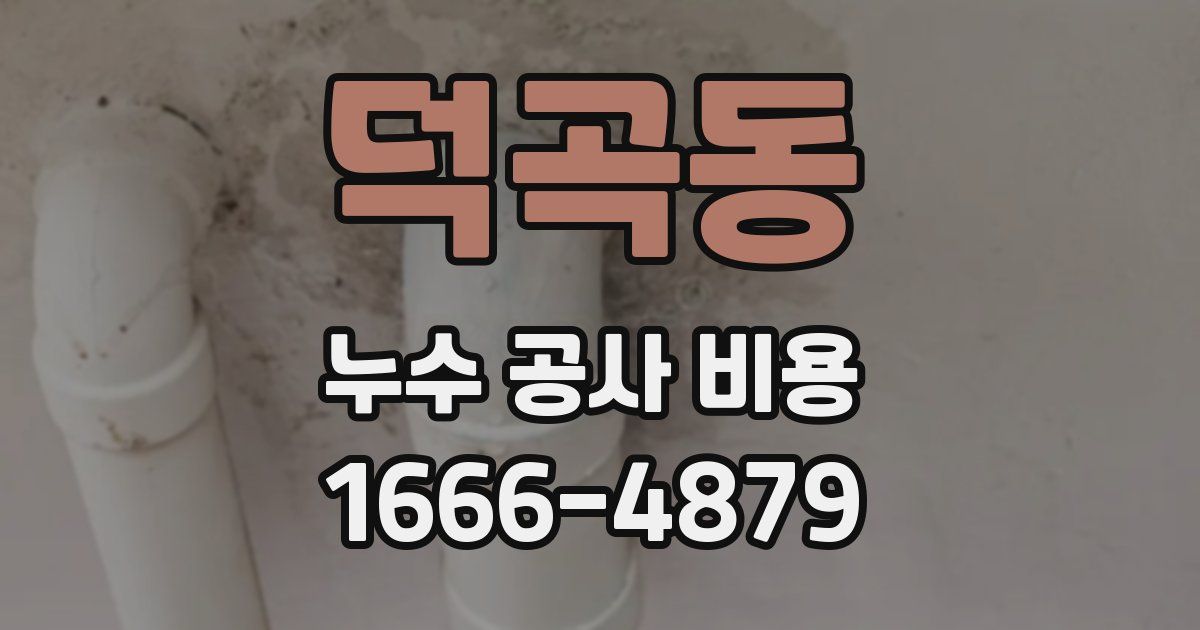 덕곡동 누수 공사 비용
