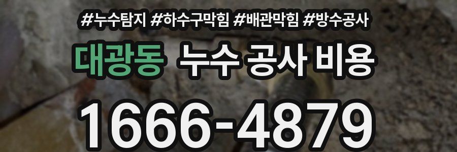대광동 누수 공사 비용