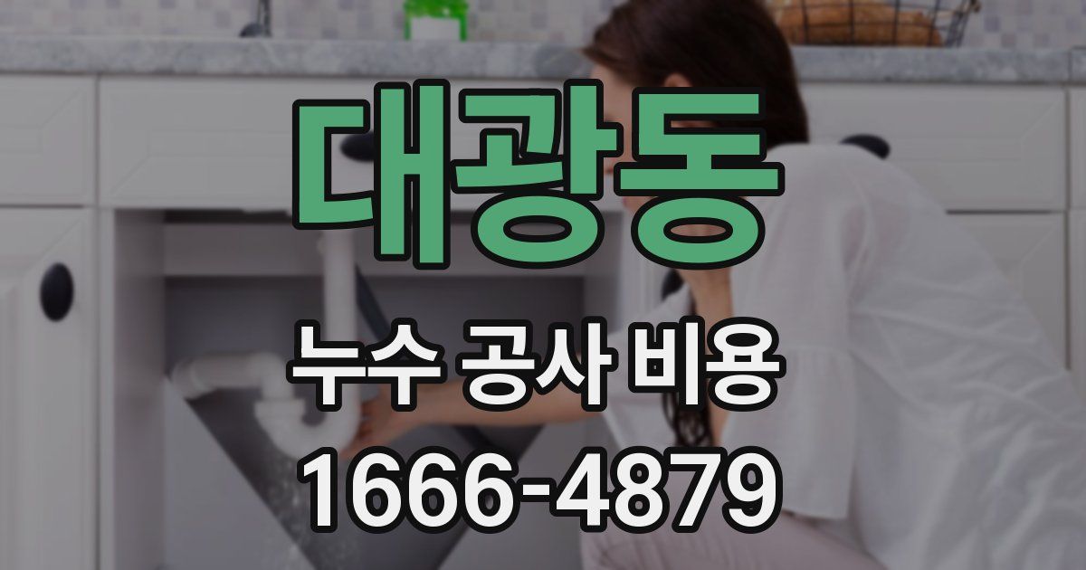 대광동 누수 공사 비용