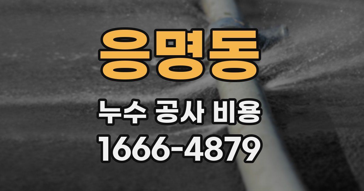 응명동 누수 공사 비용