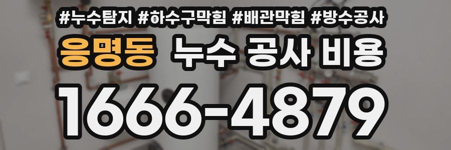 응명동 누수 공사 비용