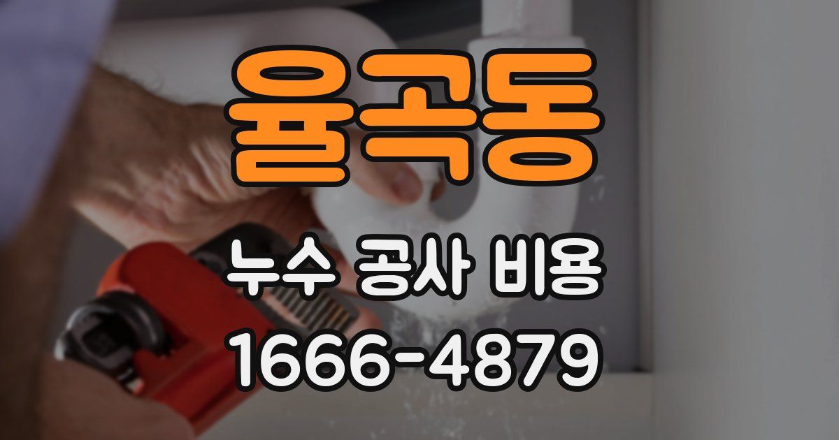율곡동 누수 공사 비용