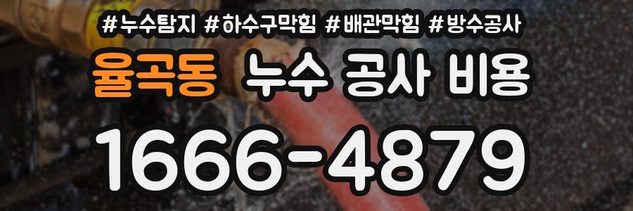 율곡동 누수 공사 비용