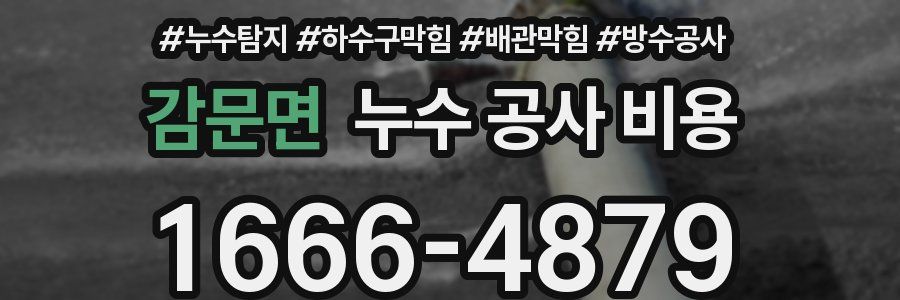 감문면 누수 공사 비용