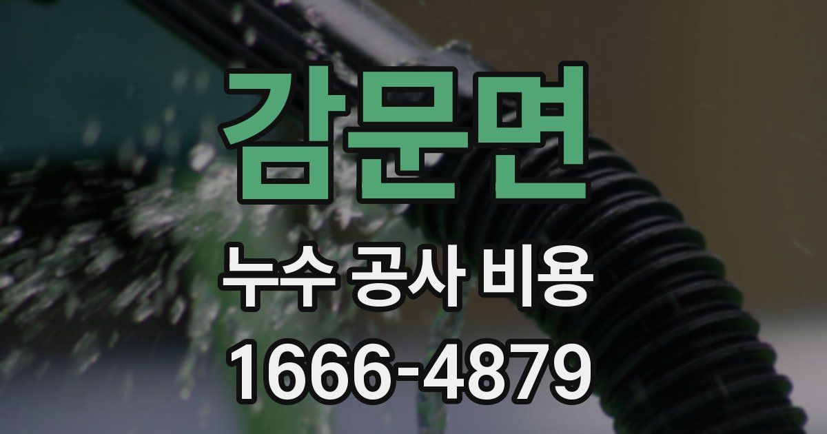 감문면 누수 공사 비용