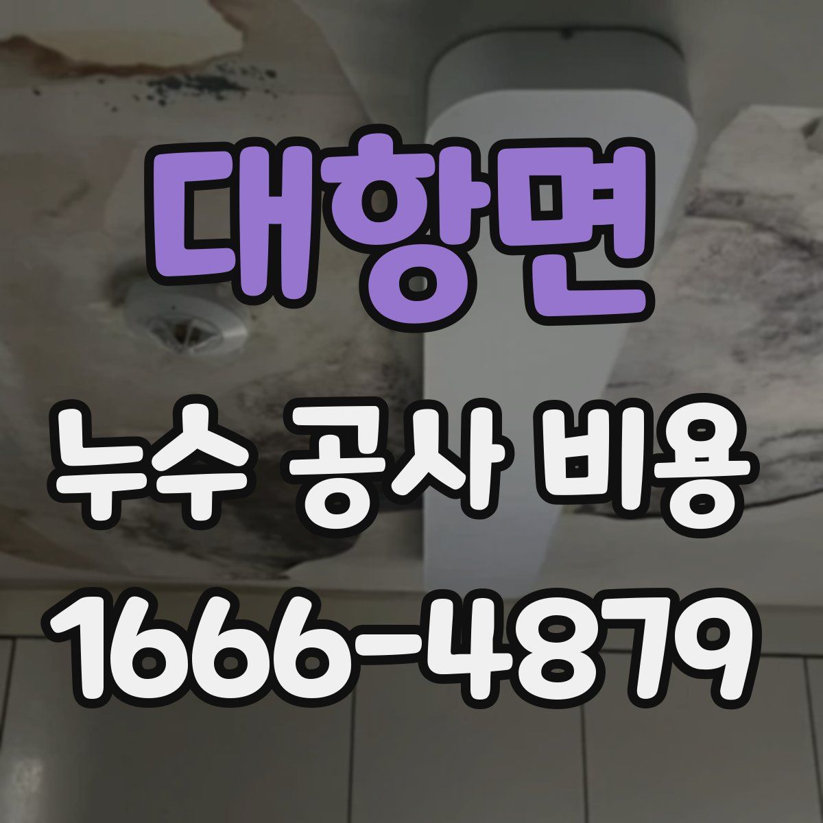 대항면 누수 공사 비용