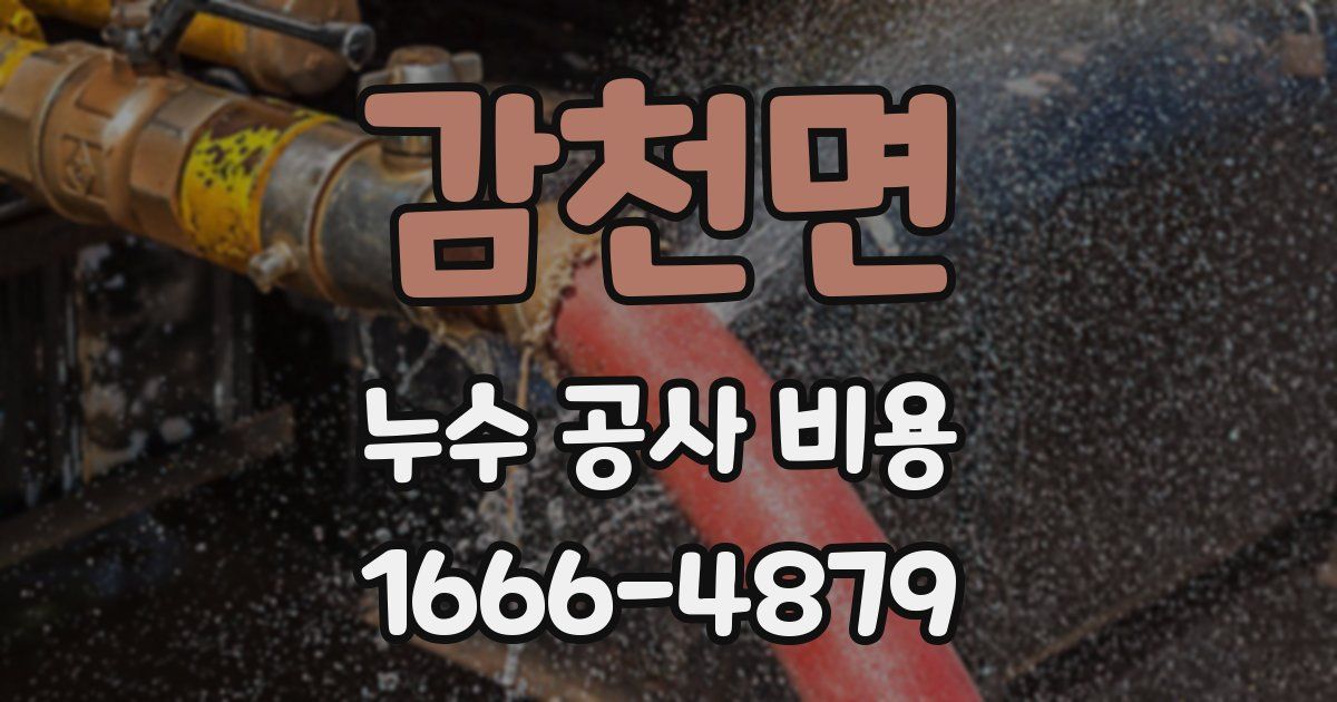 감천면 누수 공사 비용